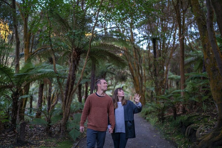 Rotorua: Hell's Gate Outdoor Mud Spa & Guided Walk - Māori carving adds a cultural pause