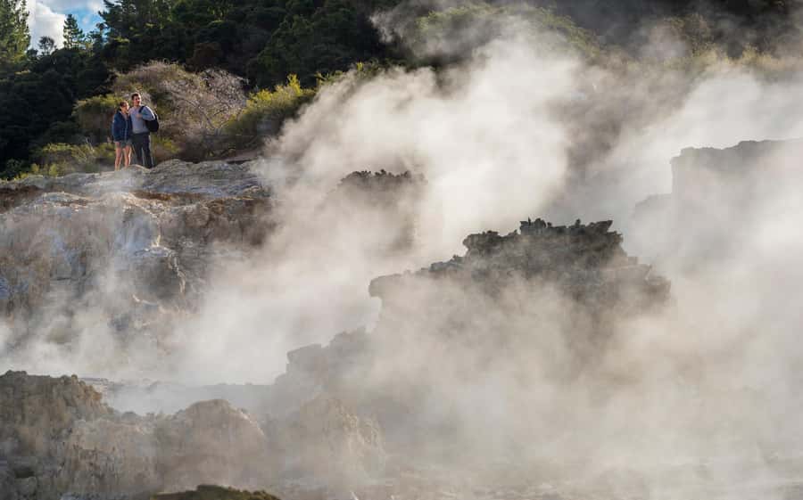 Rotorua: Hell's Gate Outdoor Mud Spa & Guided Walk - The mud bath: brief, warm, and messy