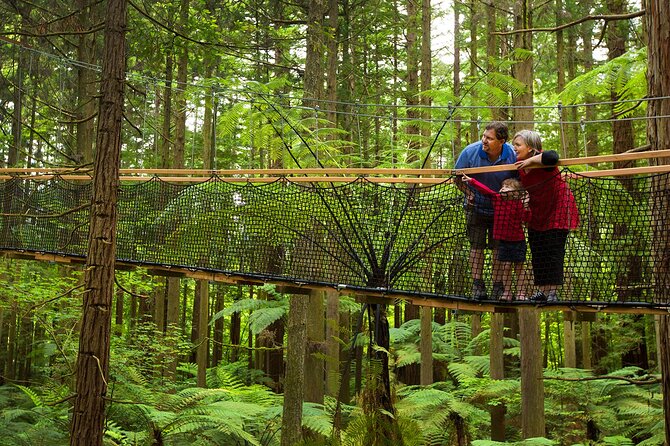 Rotorua Highlights Tour from Auckland with Optional Extras - The return drive and the cost of convenience
