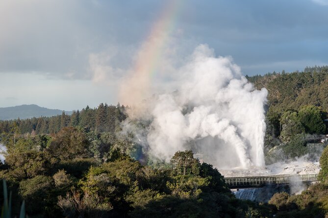 Rotorua Highlights Tour inc. Te Puia Tour, Lunch & Cultural Show - A short guided look at Rotorua city