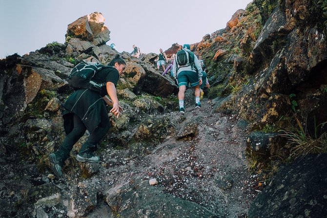 Rotorua Hiking: Mt Tarawera Guided Volcanic Crater Experience - The climb to Mt Tarawera’s crater rim