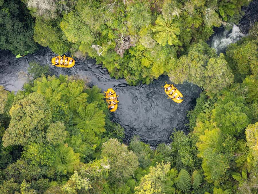 Rotorua: Kaituna River Rafting Experience - Kaituna River rafting at a glance