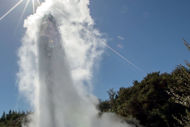 Rotorua Māori Village and Activity Combinations from Auckland - The early start and three-hour ride to Rotorua