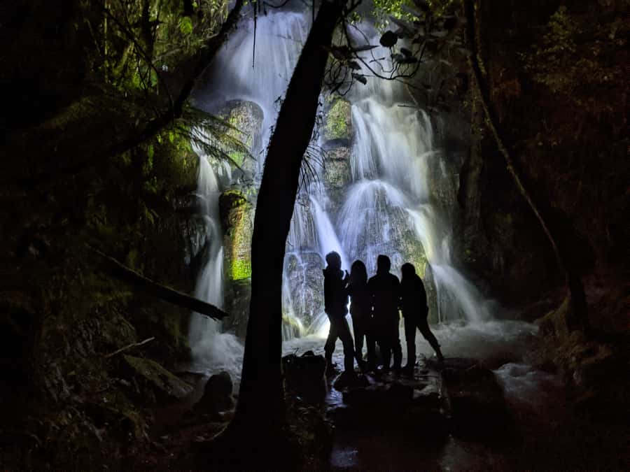 Rotorua: Nocturnal Glow-Worm Adventure Tour with a Guide - Key points to know before you book
