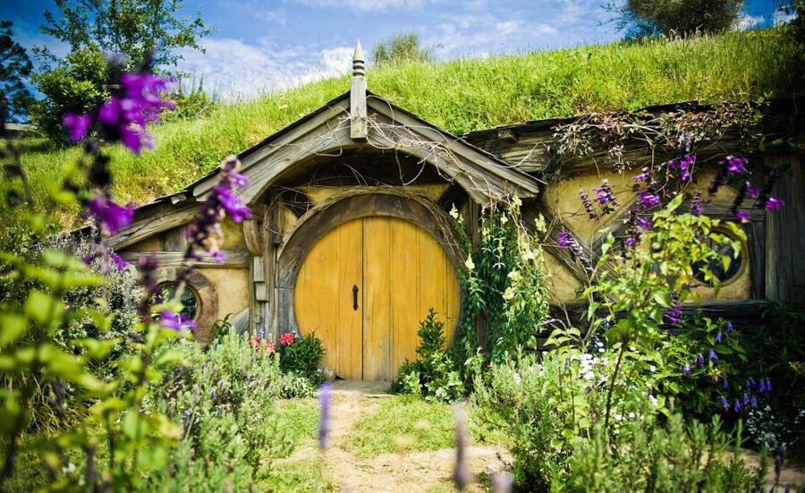 Rotorua: One-Way Trip to Auckland via Hobbiton & Waitomo - Who should book this day