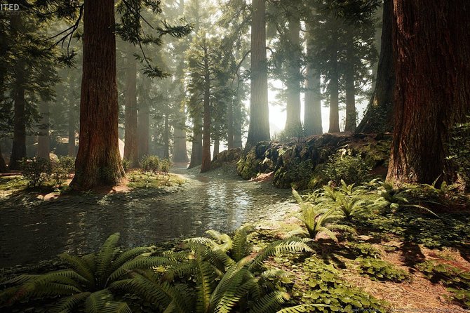 Rotorua Private tour with Hotspring - Walking among the Whakarewarewa Redwoods