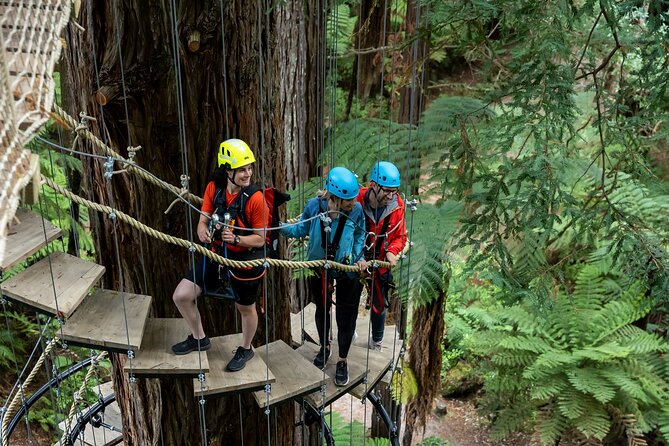 Rotorua: Redwoods Altitude High Ropes Adventure - The 650-metre loop keeps changing the challenge