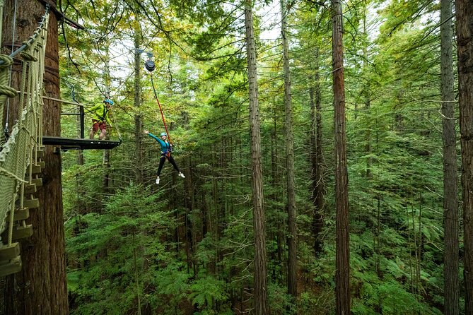 Rotorua: Redwoods Altitude High Ropes Adventure - Forest stories make the setting more than a backdrop