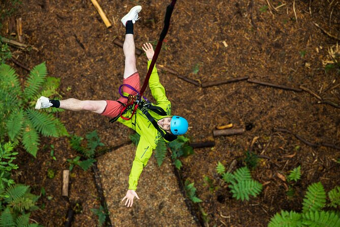 Rotorua: Redwoods Altitude High Ropes Adventure - The first bridges test your confidence