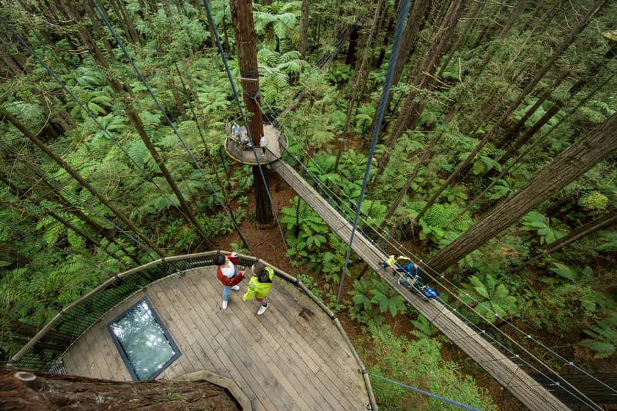 Rotorua: Redwoods Altitude, Nighttime Fast Pass, & Treewalk - Key points to know before you book