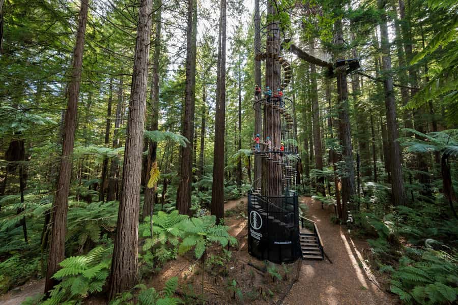 Rotorua: Redwoods Altitude, Nighttime Fast Pass, & Treewalk - Timing, clothes, and a sensible plan
