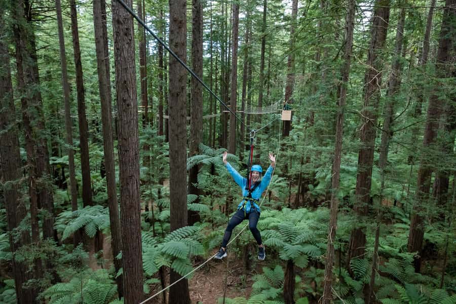 Rotorua: Redwoods Altitude, Nighttime Fast Pass, & Treewalk - FAQ