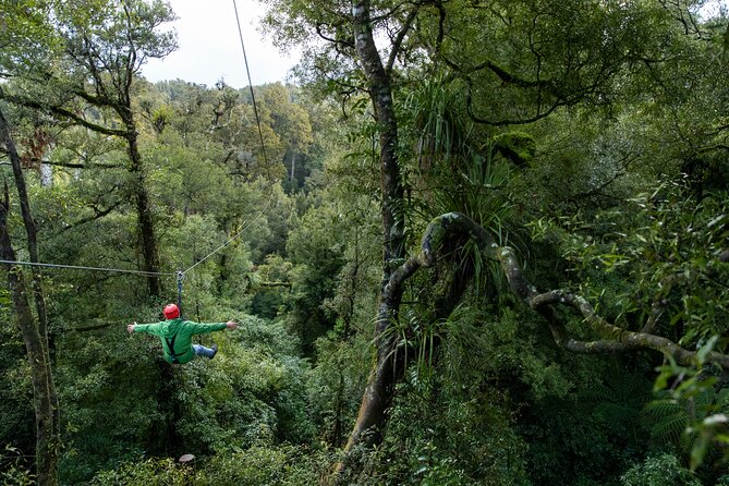 Rotorua’s Ultimate Zipline: 6 ziplines, 400 m Tandem, Cliff Walk - Controlled descent and the final return