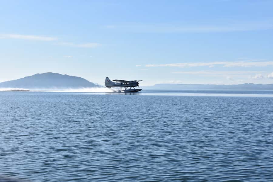 Rotorua: Scenic Flight over Mt Tarawera & Waimangu Valley - Mount Tarawera and the 1886 eruption