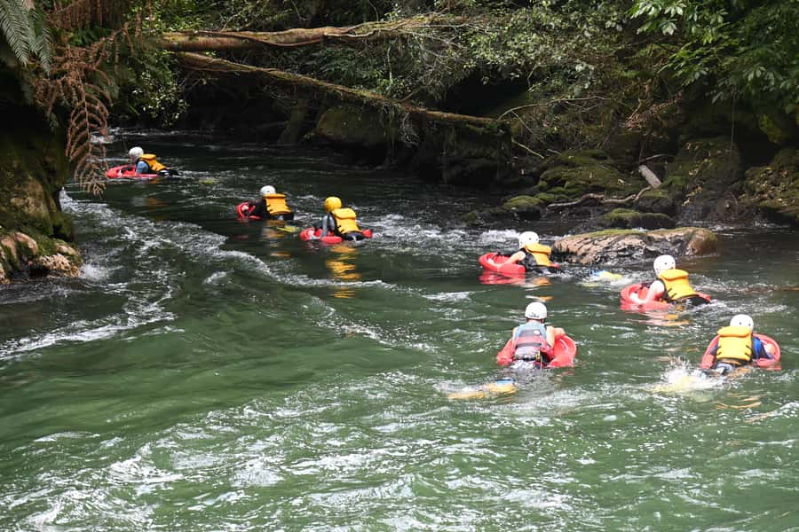 Rotorua Sledging: Kaituna White Water River Board Experience - The final photo stop and what it adds