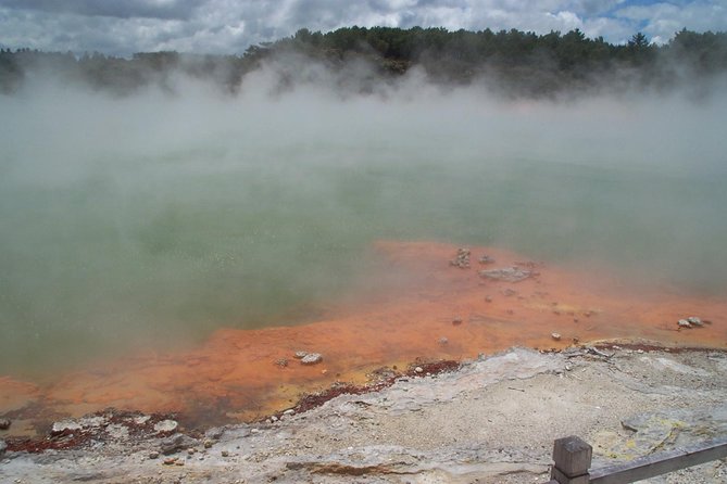 Rotorua Small-Group Day Tour from Auckland - Auckland to Rotorua: a long but useful road day