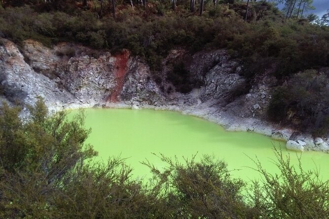 Rotorua Small-Group Day Tour from Auckland - Rotorua’s lakefront and short city stops