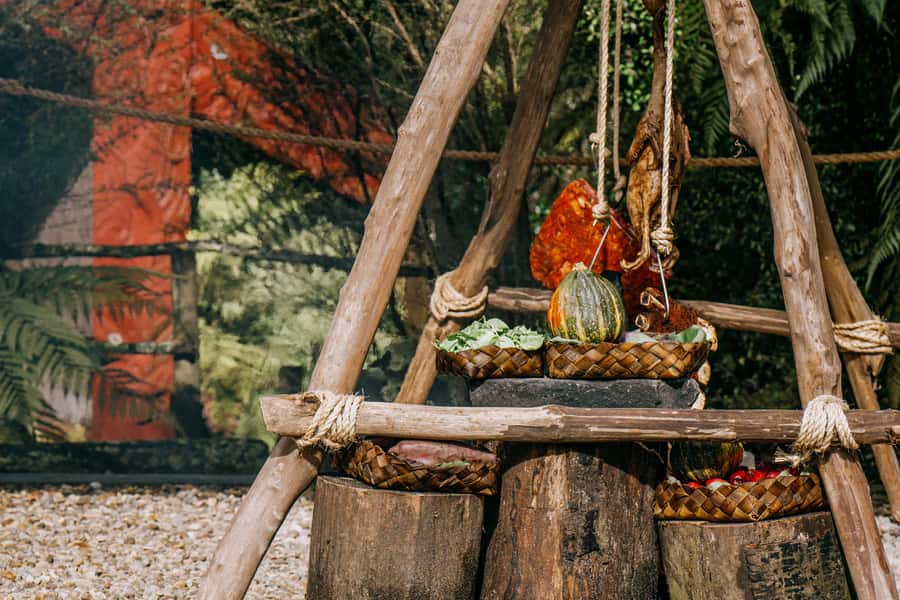 Rotorua: Te Pa Tu Māori Cultural Experience with Dinner - Why Te Pā Tū is worth considering