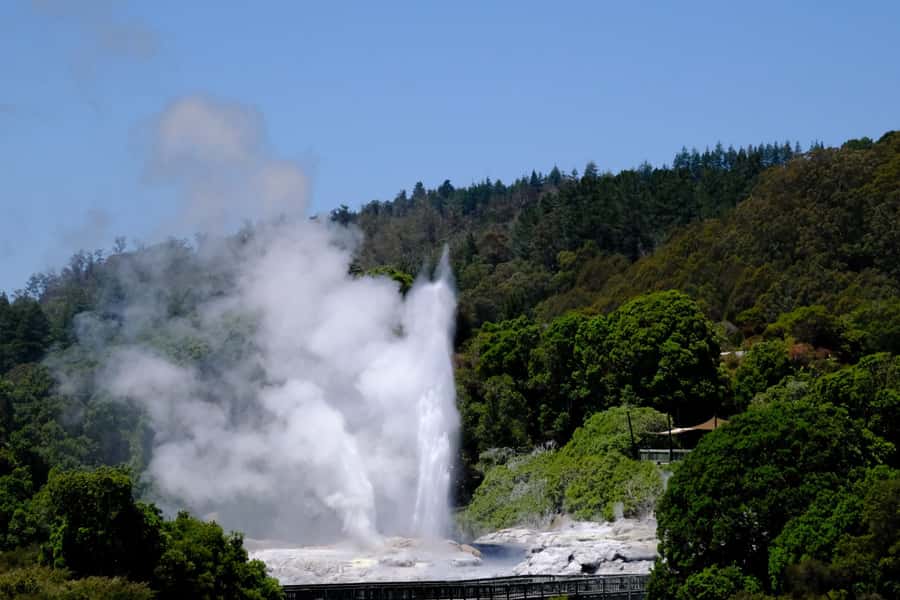 Rotorua: Te Puia Maori Village and Rejuvenation Tour - From Tauranga to Rotorua in a comfortable Mercedes