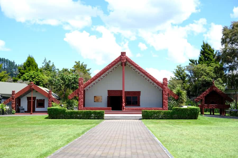 Rotorua: Te Puia Maori Village and Rejuvenation Tour - Meeting New Zealands native kiwi