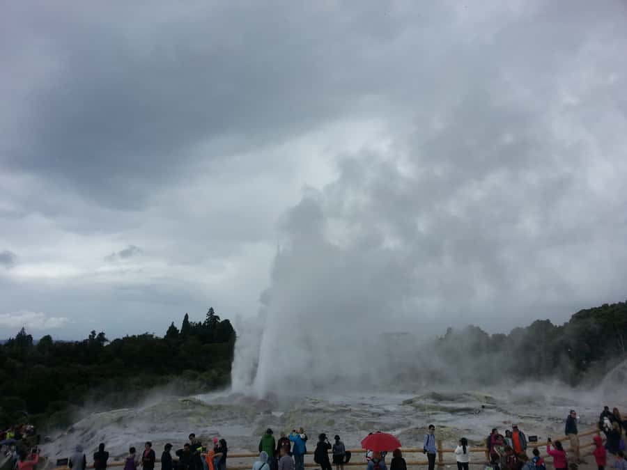 Rotorua: Te Puia Maori Village and Rejuvenation Tour - Why the private format matters