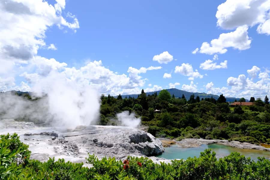 Rotorua: Te Puia Maori Village and Rejuvenation Tour - Who will get the most from this tour