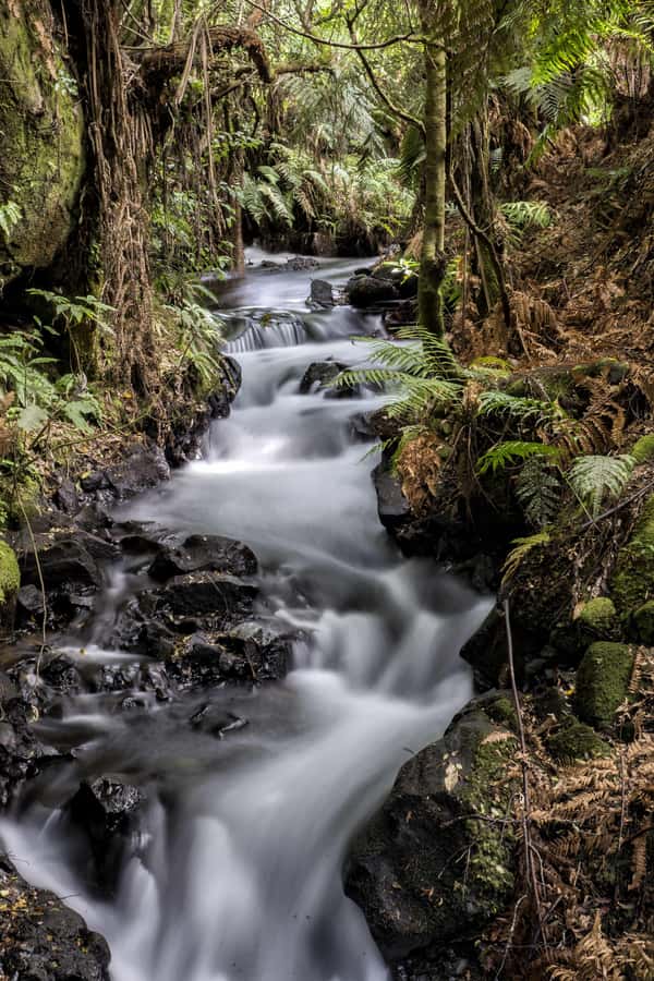 Rotorua: The Buried Village of Te Wairoa - Why Te Wairoa Matters Near Rotorua