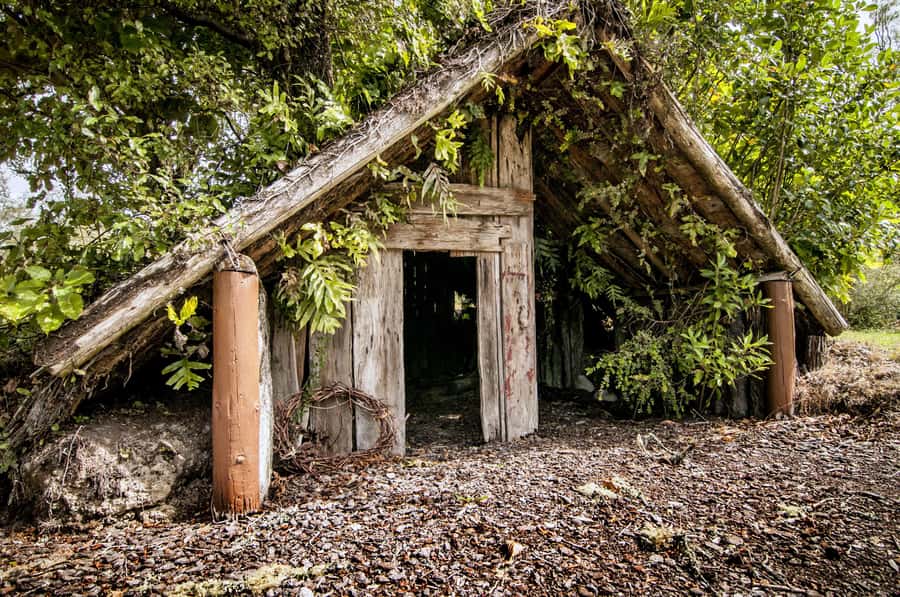 Rotorua: The Buried Village of Te Wairoa - Who Will Get the Most From This Visit?
