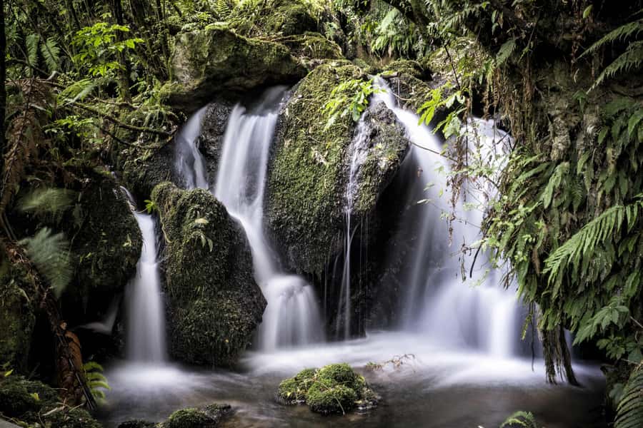 Rotorua: The Buried Village of Te Wairoa - Is $14 Good Value?