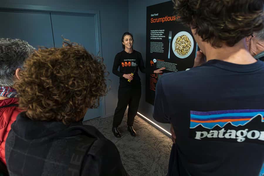 Rotorua: The National Kiwi Hatchery Kiwi Encounter Tour - Why this hatchery matters to New Zealand