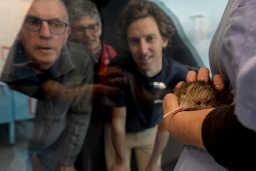 Rotorua: The National Kiwi Hatchery Kiwi Encounter Tour - Who should book this Rotorua activity?