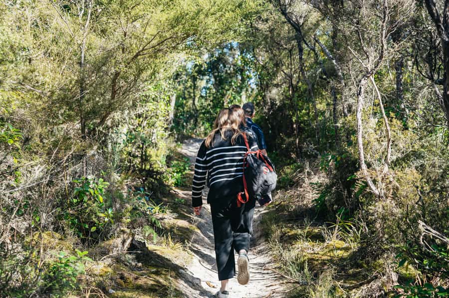 Rotorua: 'Thermal Path Tour' Geothermal half day Tour - Should you book the Thermal Path Tour?