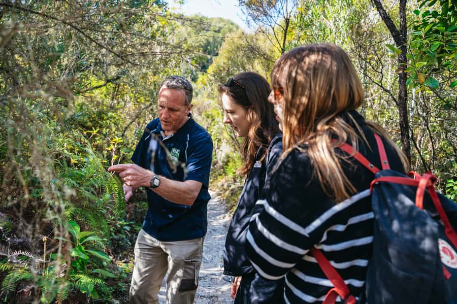 Rotorua: 'Thermal Path Tour' Geothermal half day Tour - Who will get the most from this half-day trip