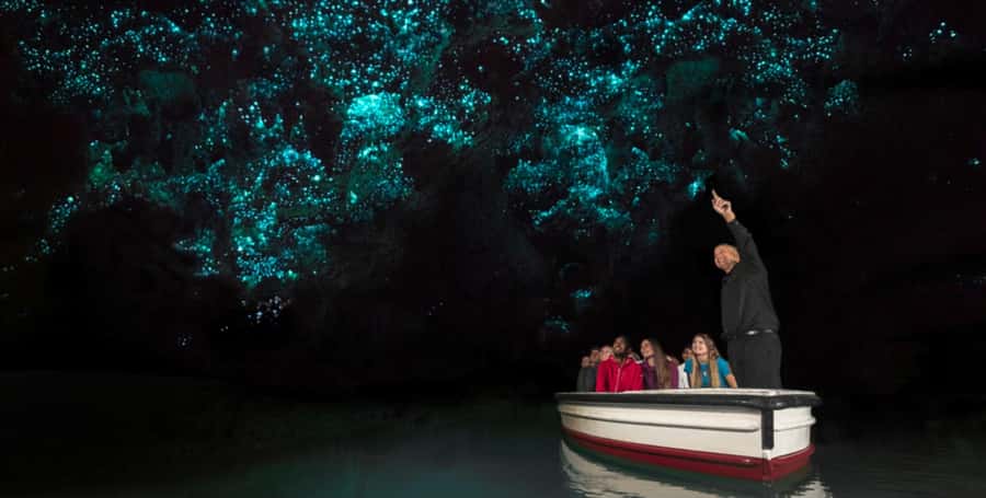 Rotorua to Auckland - Afternoon Transfer with Waitomo Caves - Why this Rotorua to Auckland transfer is different