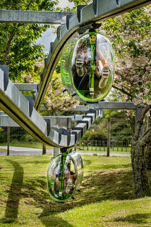 Rotorua: Velocity Valley - Four Ride Pass - Shweeb Racer brings the group together