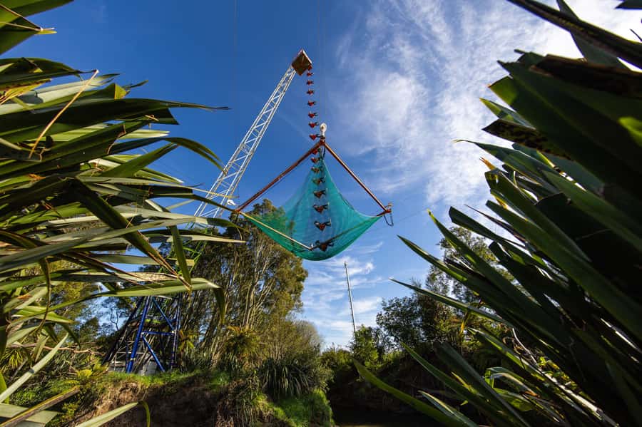 Rotorua: Velocity Valley - NEW Vertigo 43m drop - Getting Ready for the 43-Metre Drop