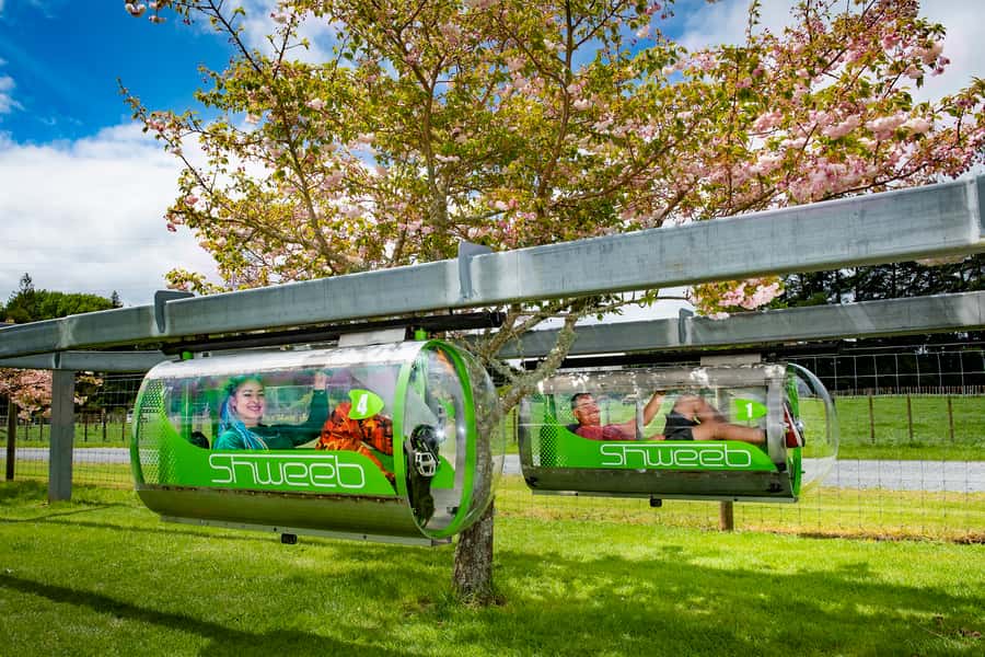 Rotorua: Velocity Valley - Two Ride Pass - Why Velocity Valley works for an adrenaline day in Rotorua