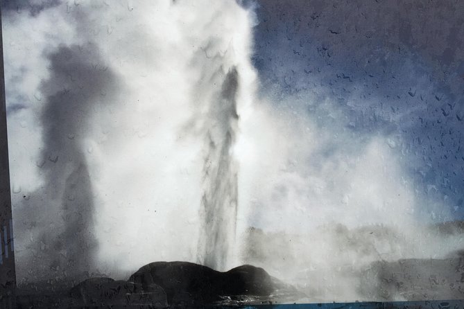 Rotorua via Kiwi/lakes country & a visit to iconic Whakarewarewa - Government Gardens and lunch beside Lake Rotorua
