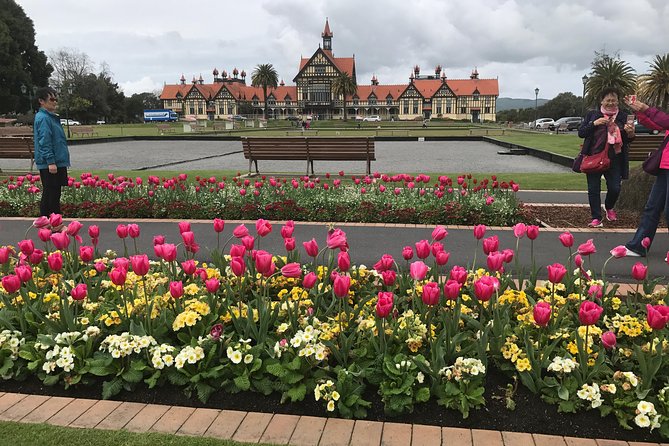 Rotorua via Kiwi/lakes country & a visit to iconic Whakarewarewa - Lake Okareka and Mt. Tarawera