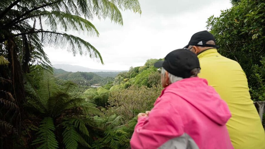 Rotorua: Waimangu Valley Walk and Steaming Cliffs Kayak Tour - What the guide adds to the day