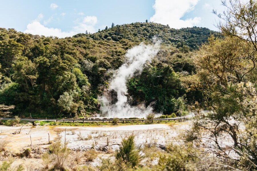 Rotorua: Waimangu Volcanic Valley Ticket & Self-Guided Walk - Who will enjoy Waimangu most?