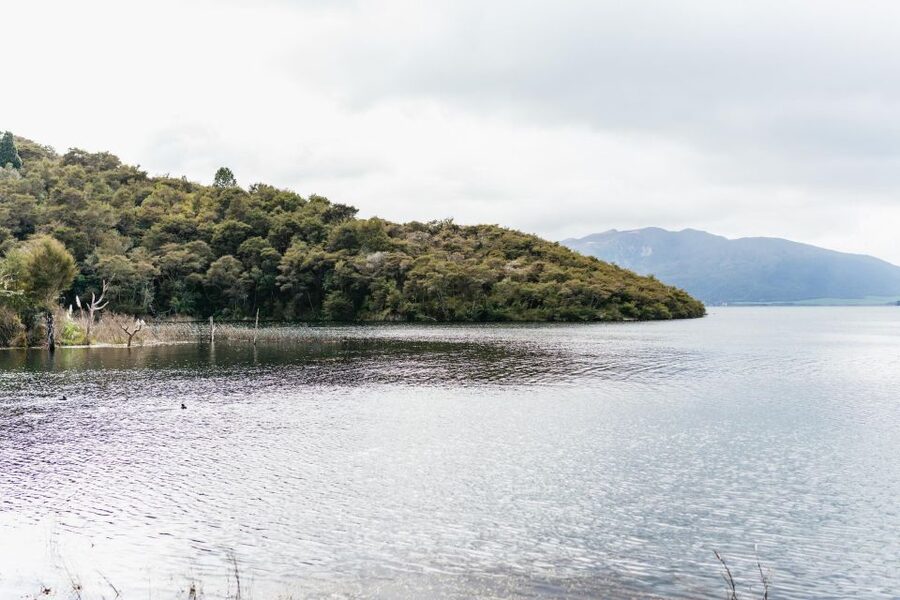 Rotorua: Waimangu Volcanic Valley Ticket & Self-Guided Walk - Picking the right route for your legs