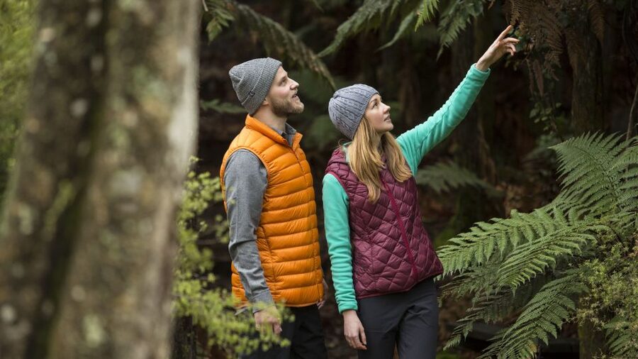 Rotorua: Waimangu Volcanic Valley Ticket & Self-Guided Walk - Native bush, birds, and geothermal contrasts