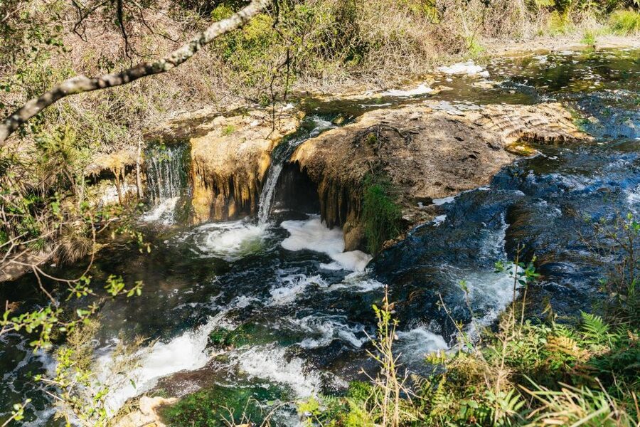 Rotorua: Waimangu Volcanic Valley Ticket & Self-Guided Walk - The shuttle bus is more useful than it sounds
