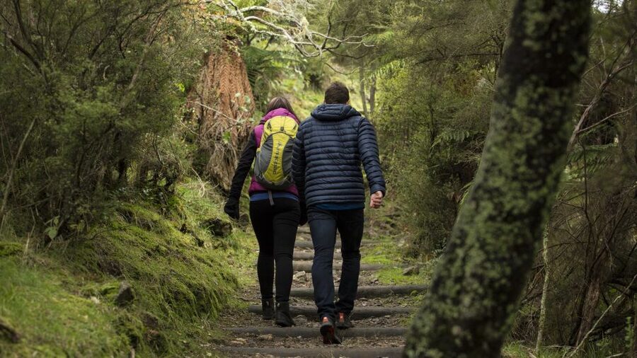 Rotorua: Waimangu Volcanic Valley Ticket & Self-Guided Walk - Is the $38 ticket good value?