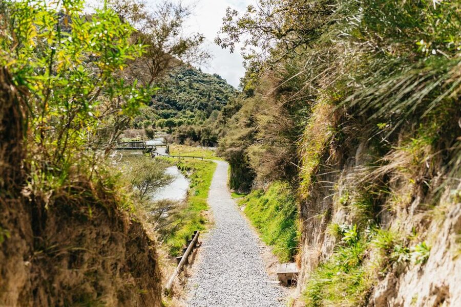 Rotorua: Waimangu Volcanic Valley Ticket & Self-Guided Walk - Arriving from Rotorua or Taupo