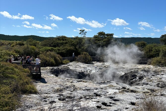 Rotorua: WaiOtapu & Redwood forest & Blues springs from Auckland - Why this private Auckland to Rotorua route works