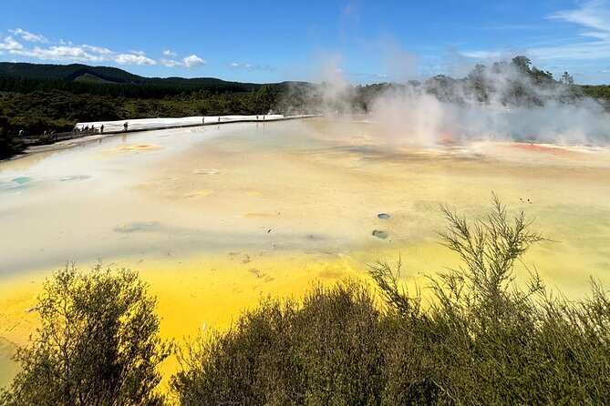 Rotorua: WaiOtapu & Redwood forest & Blues springs from Auckland - The three-hour morning ride from Auckland
