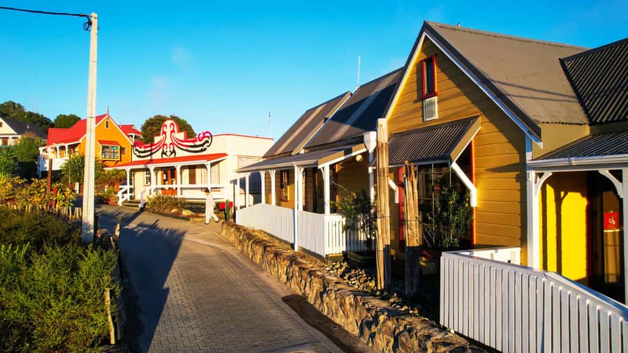 Rotorua: Whakarewarewa Village Guided Tour - Starting at the Geyser Café