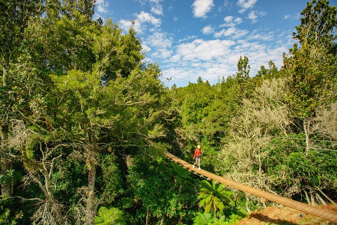 Rotorua Ziplines - Okere Falls Experience - How the guides shape the experience